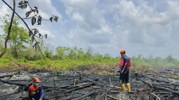 Kotawaringin Timur Berstatus Siaga Karhutla dan Kekeringan