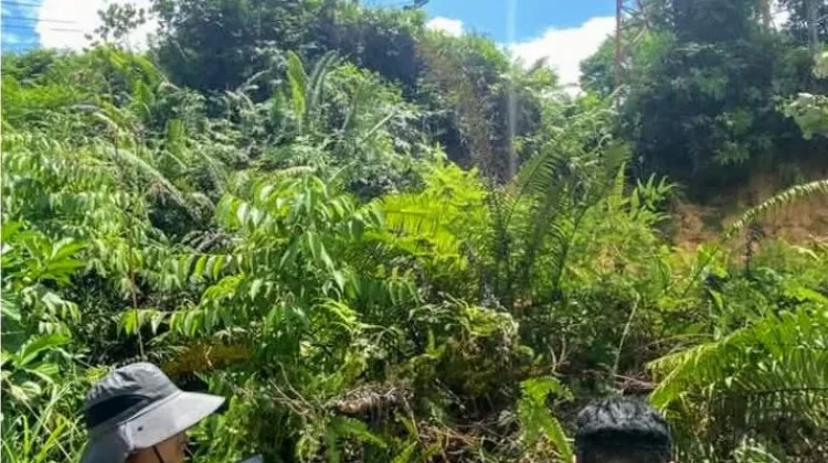 Longsor Ancam Tower Telekomunikasi, Bupati Barut Instruksikan Penanganan