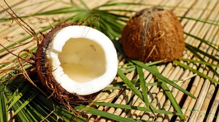Sabut Kelapa Berpotensi Jadi Produk Unggulan Ramah Lingkungan