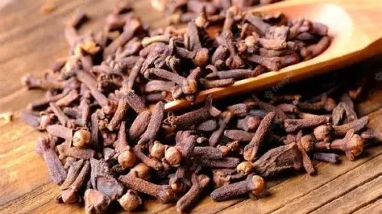 Cengkeh, Antiseptik dan Antibakteri Alami