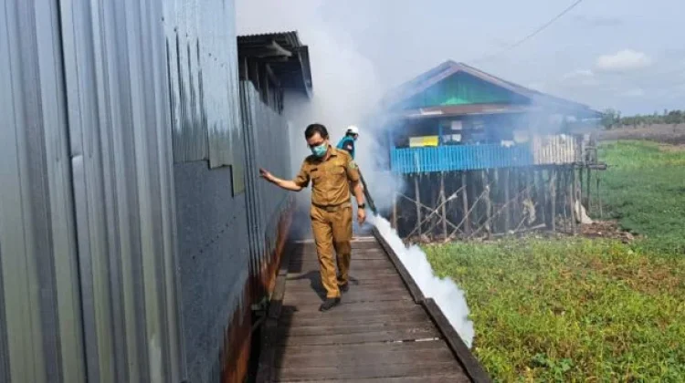 Masuki Peralihan Musim, Dinkes Palangka Raya Ingatkan Waspada DBD