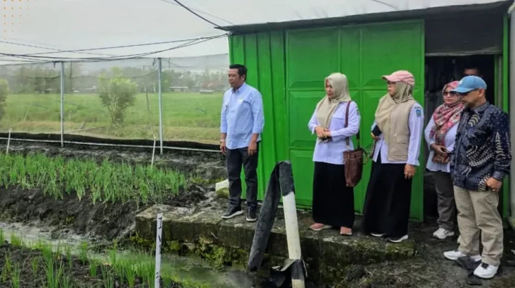 Studi Tiru ke Nganjuk, Pemkab Barut Perkuat Sinergi Sektor Pertanian