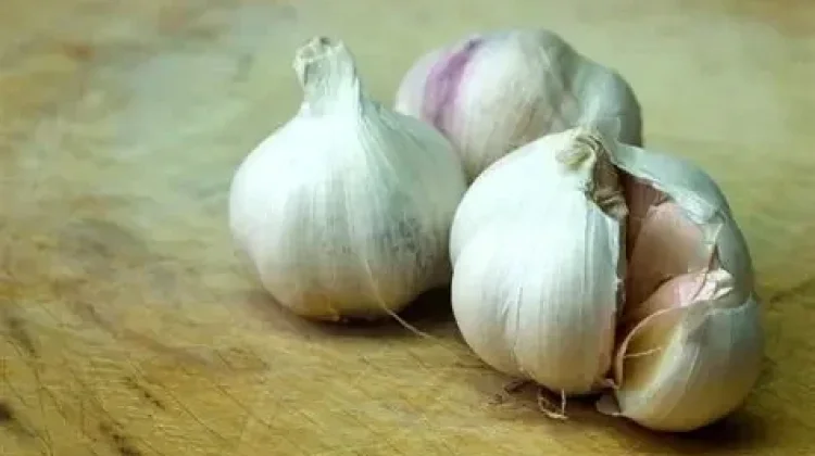 Manfaat Bawang Putih bagi Kesehatan, Alami dan Mudah Didapat