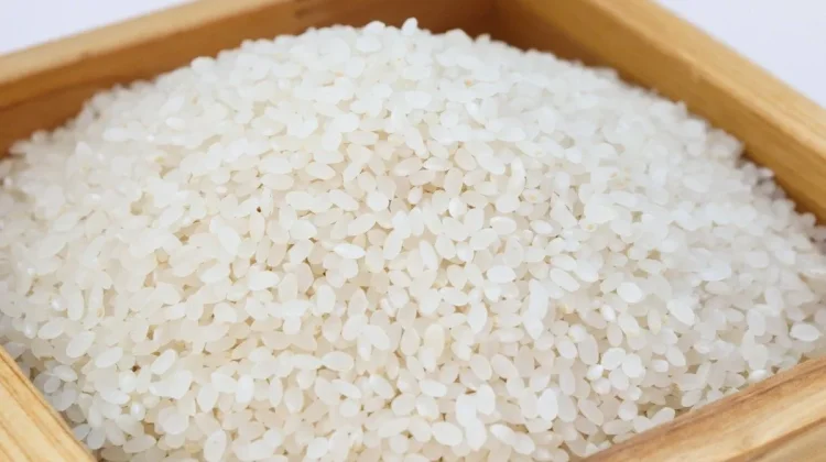 Bulog Kalteng Catat Rekor Stok Beras Terbesar