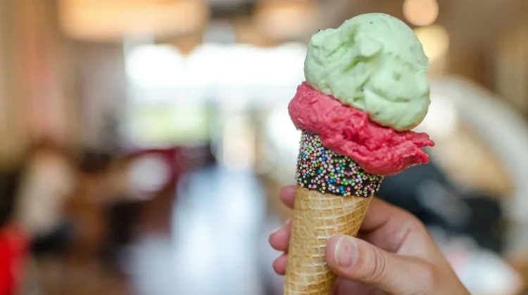 Fakta Unik Es Krim dan Cara Praktis Membuatnya
