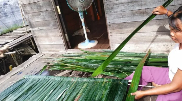 Solidaritas Perempuan Soroti Ketimpangan Gender dalam Transisi Energi Global