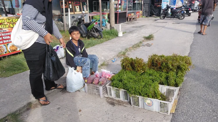 Sayur Pakis Kalakai Sumber Rezeki bagi Masyarakat
