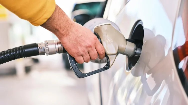 BI Kalteng Dukung Penguatan Biodiesel B50 Demi Kemandirian Energi