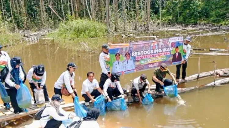 Upaya Peningkatan Populasi Ikan, DKPP Barito Utara Tebar Benih