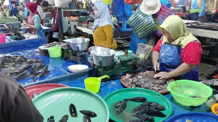 Jual Ikan Sungai di Palangka Raya Dinilai Masih Memiliki Prospek yang Baik