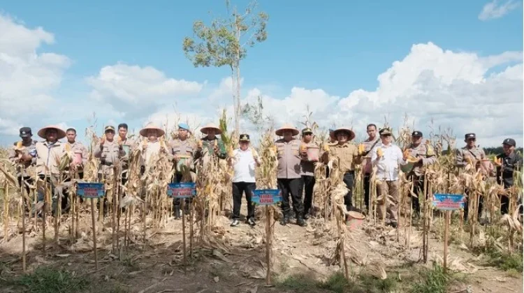 Bupati Kapuas Hadiri Penen Raya Jagung Serentak Kuarta II Tahun 2026