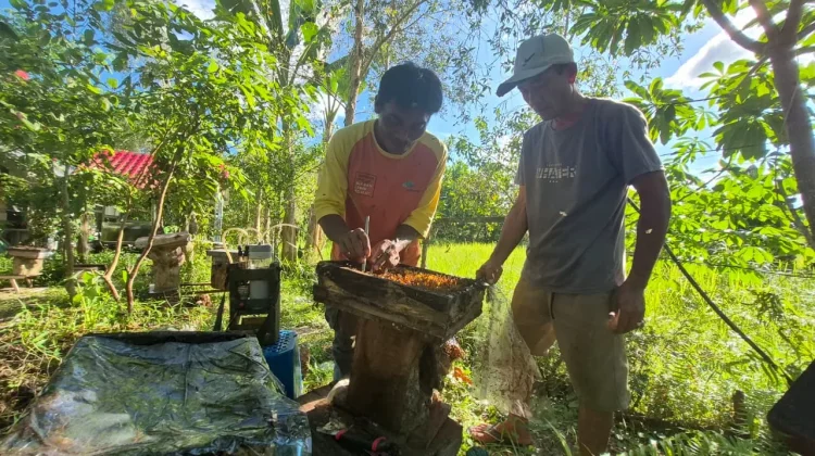 Lebah, Hutan, dan Jalan Bangkit Budiyana