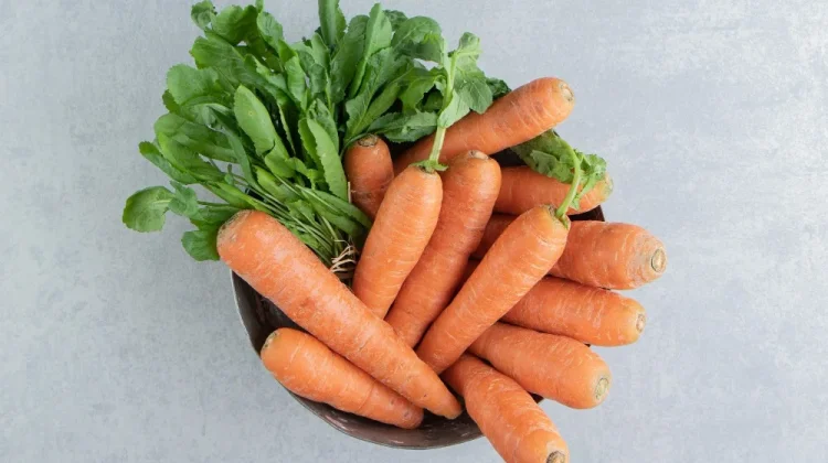 Wortel, Sayuran Kaya Nutrisi untuk Kesehatan Tubuh