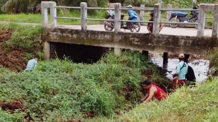 Sinergi Lintas Sektor Dinilai Penting untuk Penataan Drainase di Palangka Raya