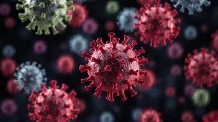 Langkah Sederhana Mencegah Penularan Virus