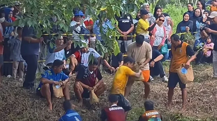 Lomba Tradisional Mangaruhi Jadi Daya Tarik Festival Budaya Isen Mulang 2026