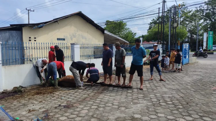 PWI Kalteng Sembelih 4 Ekor Sapi Kurban di Hari Raya Iduladha 1447 Hijriah