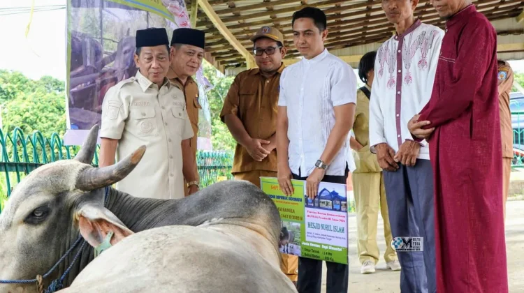 Bupati Mura Serahkan Sapi Kurban Presiden RI