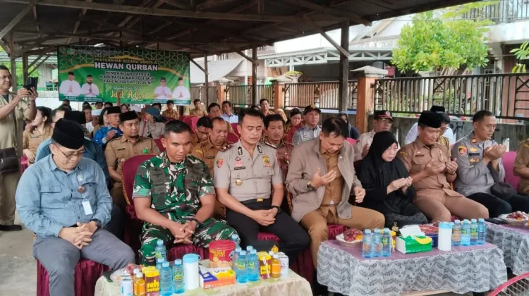 Pemkab Bartim Serahkan Sapi Kurban Presiden RI di Ampah