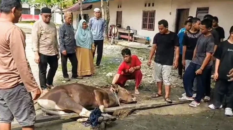 Yayasan Budi Mulya Terima Hewan Kurban dari Kapolda Kalteng dan Keluarga Sucipto