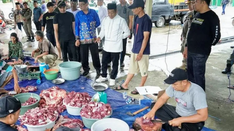 Bupati Pantau Pembagian Hewan Kurban Sejumlah Masjid Puruk Cahu