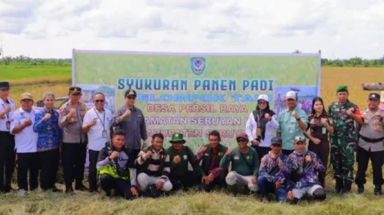 Petani Seruyan Syukuran Panen Padi Melimpah