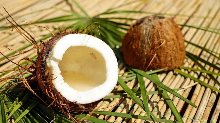 Batok Kelapa, Limbah yang Bernilai Ekonomis Tinggi