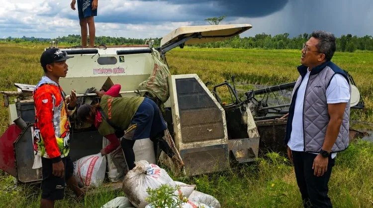 Bulog Kalteng Terus Menyerap Gabah Petani, Capaian Nasional 3 Juta Ton Setara Beras