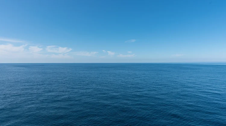 Peringatan Hari Laut Sedunia Dorong Kepedulian Terhadap Kelestarian Laut