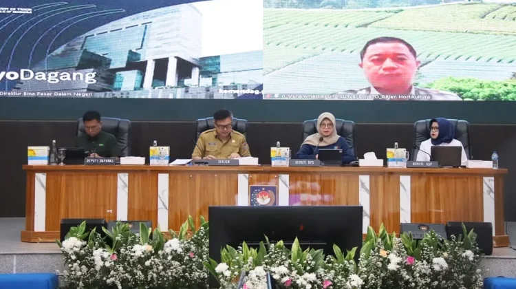 Atasi Kenaikan Harga, Kemendagri Dorong Daerah Perbanyak Tanam Cabai