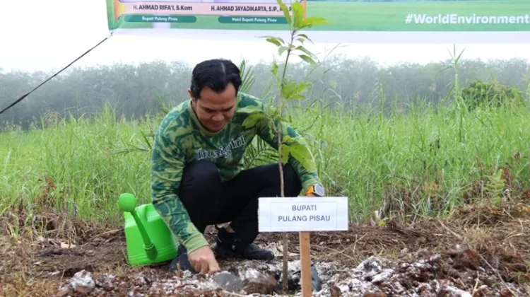 Peringati Hari Lingkungan Hidup, Pemkab Pulang Pisau Hijaukan Kawasan Rest Area