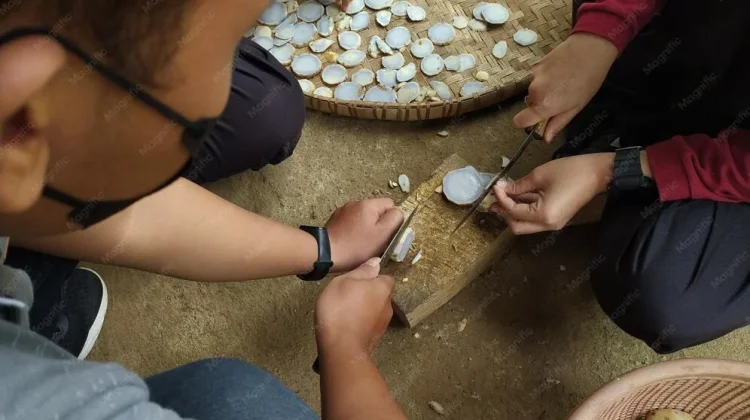 Beragam Manfaat Temulawak bagi Kesehatan Fungsi Hati