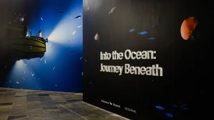 ArtScience Museum dan OceanX Mengajak Pengunjung Jelajahi Dunia Bawah Laut