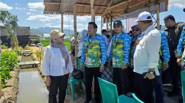 Wakil Bupati Felix Tinjau Gelar Teknologi PENAS XVII Gorontalo