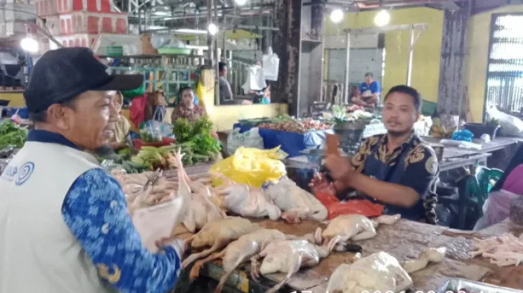 Cenderung Stabil, Disperindagkop UKM Kobar Catat Harga Kebutuhan Pokok Terkini