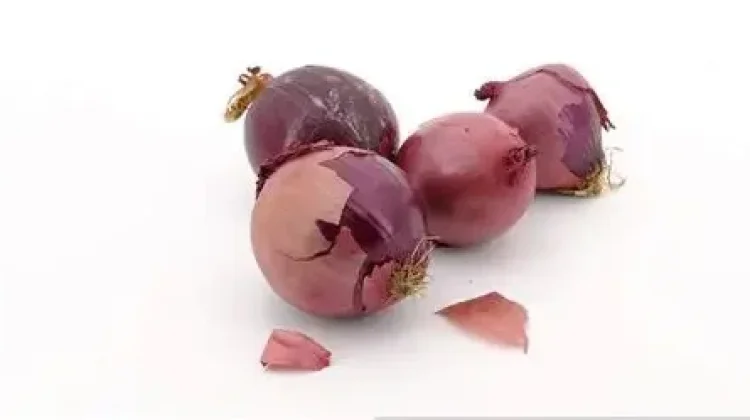 Kulit Bawang Merah untuk Kesehatan dan Lingkungan