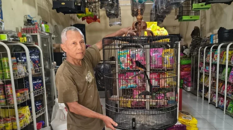 Melawan Stroke, Syamsul Bangkit Jadi Juragan Burung Berkicau