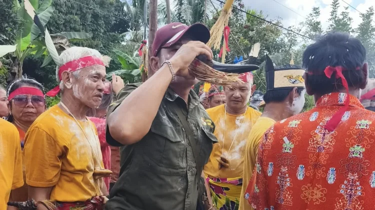 Tradisi Minum Tuak di Tanduk Kerbau, Simbol Kehormatan dan Kebersamaan Suku Dayak