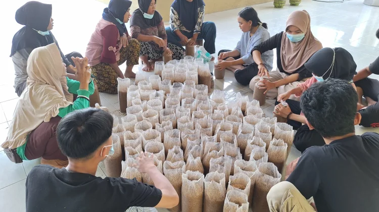 Mahasiswa UPR Diterjunkan ke Desa Tahai Jaya untuk Penguatan Pemanfaatan Sekam