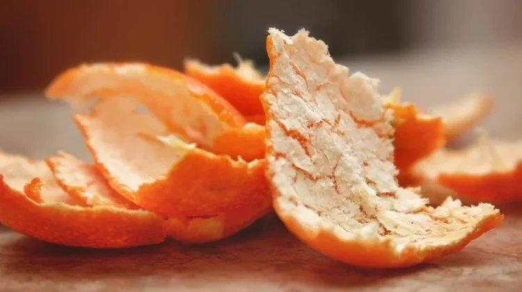 Kulit Jeruk, Kaya Nutrisi dan Berpotensi Menjadi Produk Bernilai Tambah
