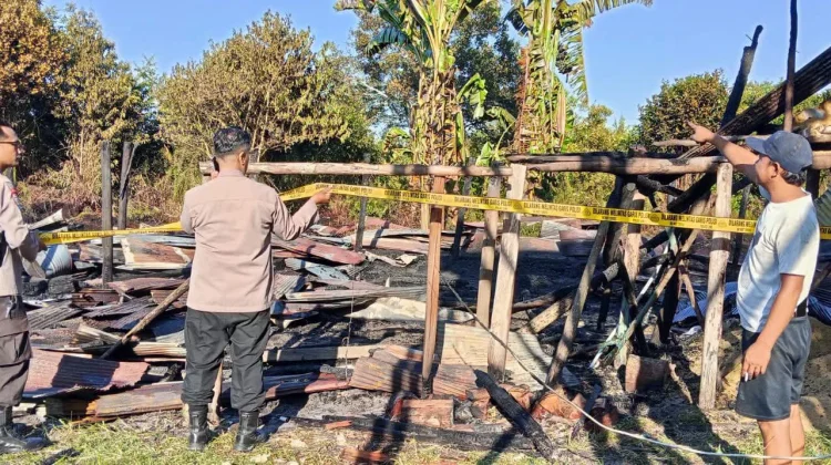Kandang Ayam Terbakar, 4.700 Bibit Hangus Kerugian Capai Ratusan Juta