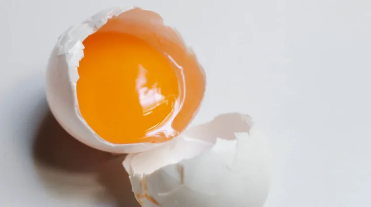 Manfaat Kuning Telur Kaya Nutrisi bagi Kesehatan