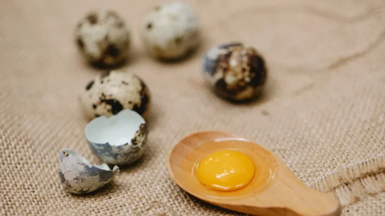 Telur Burung Puyuh, Bahan Makanan Bergizi dengan Ragam Olahan