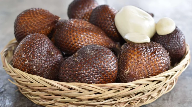Biji Salak Memiliki Potensi Manfaat, Mulai dari Kerajinan hingga Bahan Riset