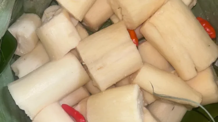 Konsumsi Tapai Singkong Secara Bijak Dukung Kesehatan Pencernaan