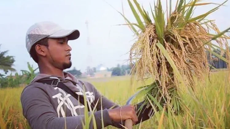 Legislator Palangka Raya: Generasi Muda Jadi Petani Modern demi Ketahanan Pangan