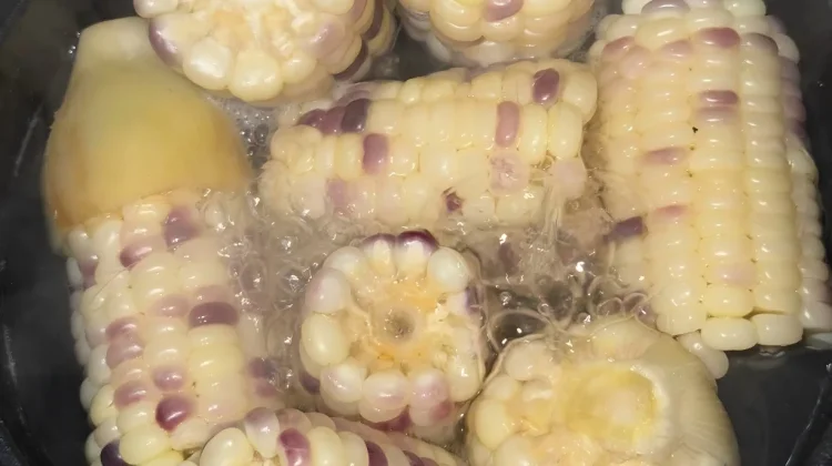 Jagung Ketan, Komoditas Pangan Lokal dengan Nilai Ekonomi Menjanjikan