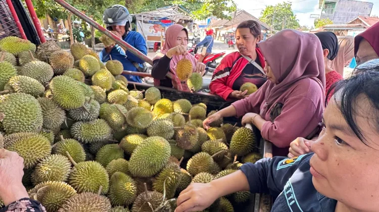 Musim Durian Datang Waktunya Pedagang Dadakan Raup Rezeki