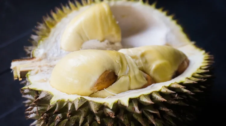 Oseng-oseng Kulit Durian, Unik dan Mengurangi Limbah