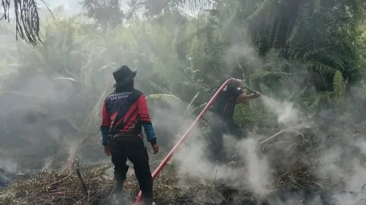 Karhutla Kawasan Bandara, Berpotensi Ganggu Penerbangan Sampit